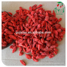 Sun dreid goji berry, wolfberry, Chinese Boxthorn, bayas de goji secas orgánicas, goji polvo / jugo de goji / aceite de goji